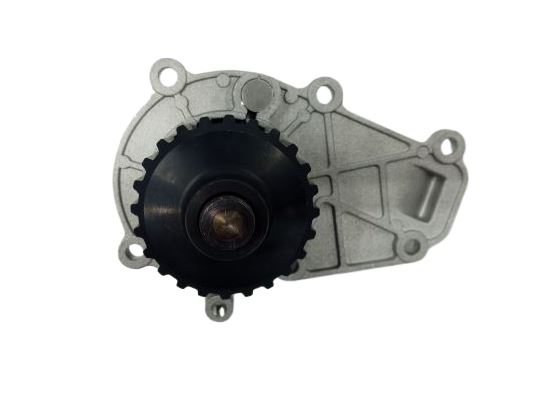 Pompa wody LOMBARDINI LDW480 LDW442 LDW492 LIGIER MICROCAR FOCS - GENEUS